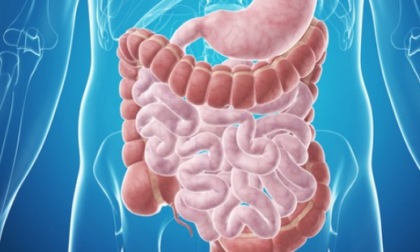Giornata dedicata alle Malattie Infiammatorie Croniche Intestinali