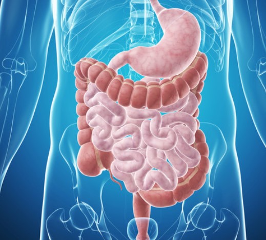 Giornata dedicata alle Malattie Infiammatorie Croniche Intestinali