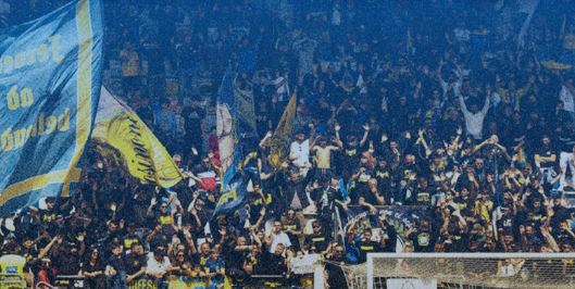 Caos Brescia. Frosinone alla finestra. Si rischia una Serie B a 22 squadre
