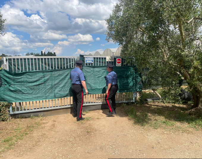 Impiegati stranieri irregolari in un’azienda agricola
