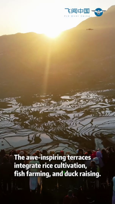 Cina: meravigliosi terrazzamenti di riso nello Yunnan