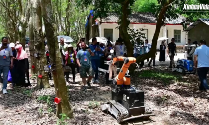 Cina: robot per raccogliere gomma attirano interesse di esperti agricoli