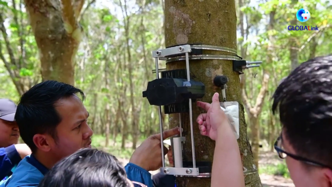 Cina: Hainan, esperti internazionali riuniti per formazione, scambio su agricoltura