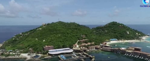 Cina: piantare corallo sott’acqua