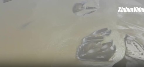 Agricoltura high-tech aiuta le mele dello Xizang a raggiungere i mercati globali