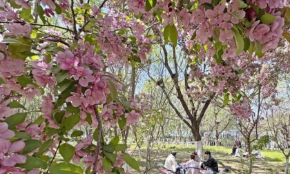 Cina: tecnologia intelligente cambia il contatto delle persone con la natura