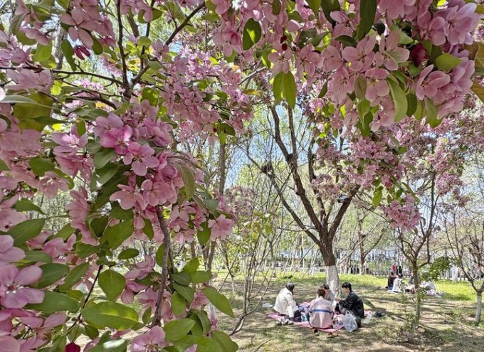 Cina: tecnologia intelligente cambia il contatto delle persone con la natura