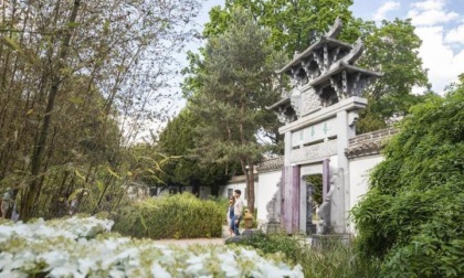 Germania: giardino stile Hui connette visitatori internazionali con cultura, estetica cinese