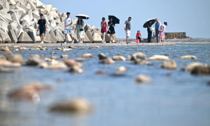 Cina: sviluppo culturale e turistico della Binhai New Area di Tianjin (2