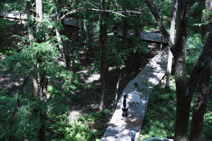 Cina: turismo estivo a Yichun nello Heilongjiang