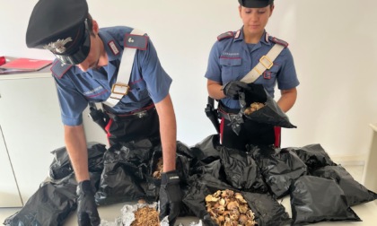 Trovato con "l'oppio dei braccianti", arrestato un indiano alla stazione