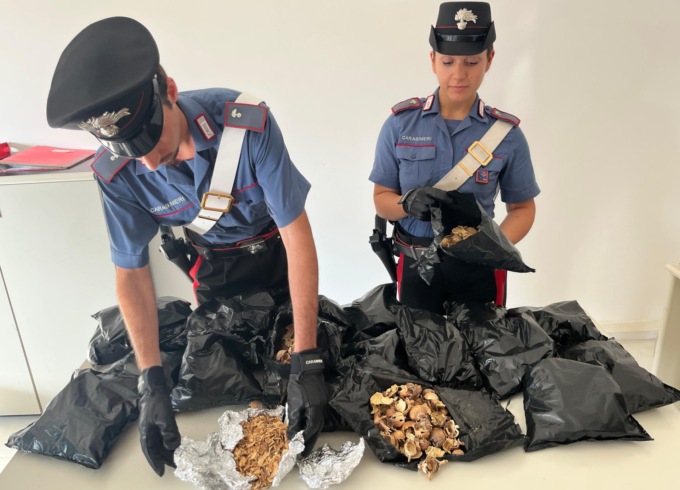 Trovato con “l’oppio dei braccianti”, arrestato un indiano alla stazione