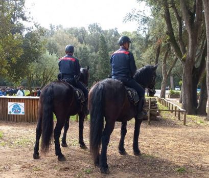 Parco Nazionale del Circeo, i controlli dei Carabinieri