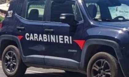 Sicurezza sul lavoro, sospesa l'attività di un'azienda agricola