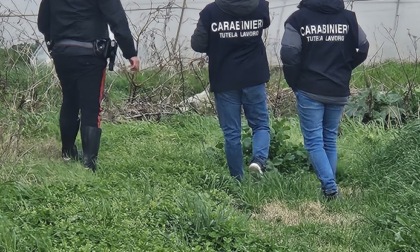 Anniversario morte Satnam, il bilancio dei controlli dei Carabinieri