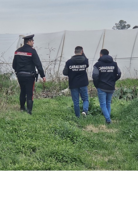 Anniversario morte Satnam, il bilancio dei controlli dei Carabinieri