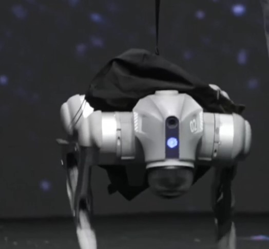 Cina: Tianjin, cani robot sfilano sulla passerella con omologhi pelosi