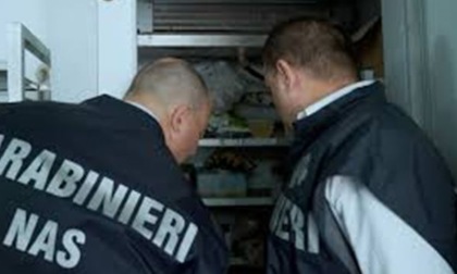 Controlli del Nas, chiuso un panificio e un bed & breakfast