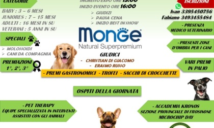 4ª Esposizione Cinofila Amatoriale: una giornata dedicata agli amici a quattro zampe