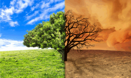 Cina-Bulgaria: forum tratta azione climatica, rivitalizzazione rurale
