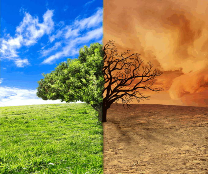 Cina-Bulgaria: forum tratta azione climatica, rivitalizzazione rurale