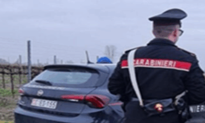 Controlli in un'azienda agricola, denunciato il proprietario