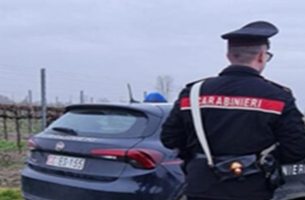 Controlli in un’azienda agricola, denunciato il proprietario