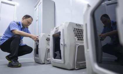 Cina: Hubei, animali domestici viaggiano su treni ad alta velocità (2)
