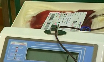 West Nile, limitazioni nelle donazioni di sangue a Latina e Frosinone