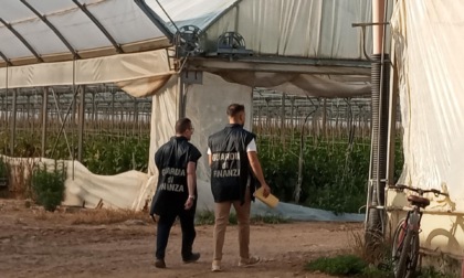 Scoperti lavoratori in nero in due aziende agricole tra Sabaudia e Terracina
