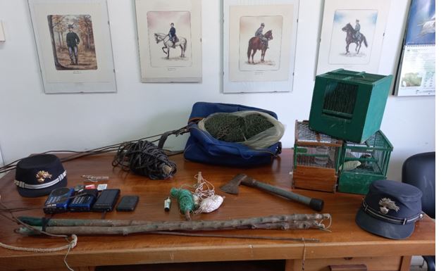 Bracconiere sorpreso con trappole e richiami elettronici, liberati 4 cardellini