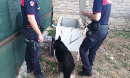 Operazione Antidroga dei Carabinieri, arrestate 14 persone