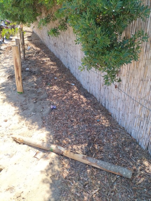 Paletti divelti sul lungomare, la denuncia del Sindaco
