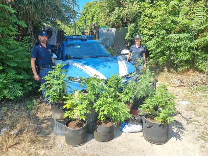 Serra di marijuana su terreno demaniale: arrestati un uomo e una donna