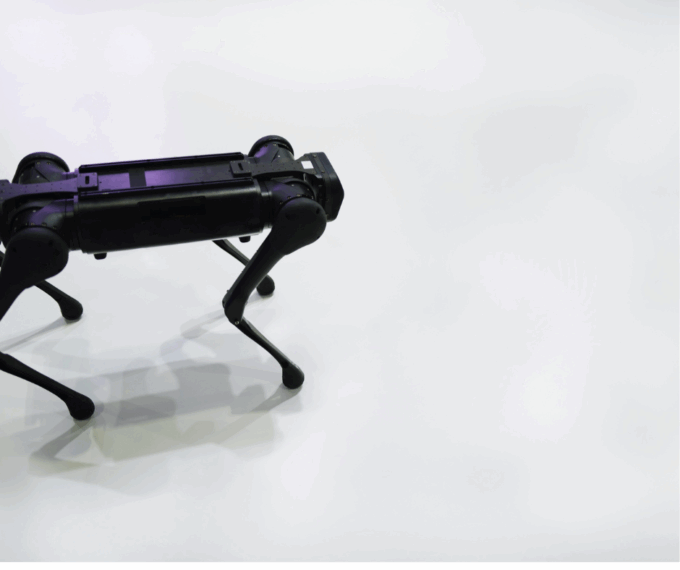 Cina: cane robot prodotto nel Paese supera velocisti umani con 10,3 m/s