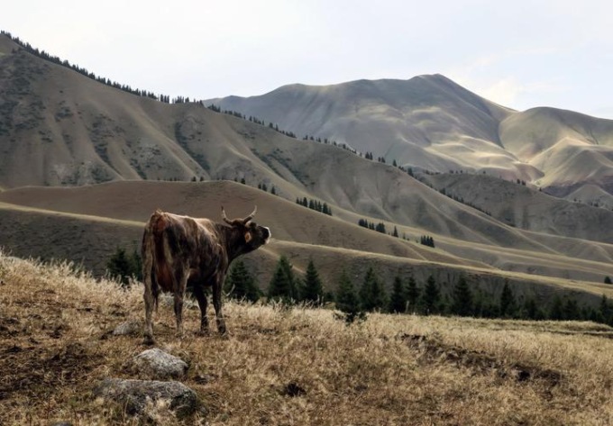 Cina: turismo del ritiro estivo a Wusu nello Xinjiang