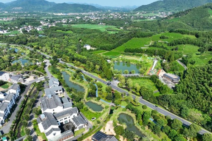 Cina: Jingshan promuove sviluppo coordinato settore tè, turismo (3)
