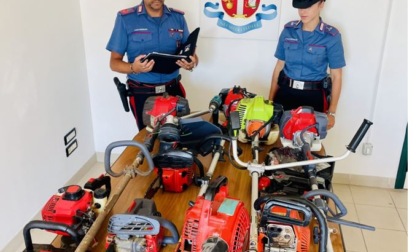 Ruba materiale per potatura al Tempio di Monte Giove, denunciato
