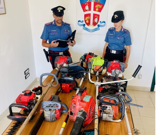 Ruba materiale per potatura al Tempio di Monte Giove, denunciato