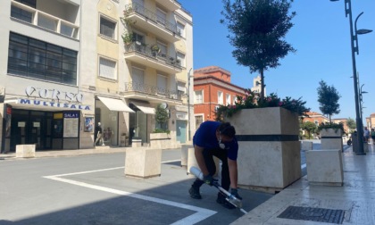 West Nile, 51 interventi straordinari e disinfestazioni programmate in tutta la città