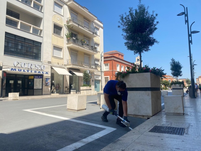 West Nile, 51 interventi straordinari e disinfestazioni programmate in tutta la città