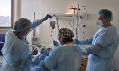 All'ospedale Spaziani il trentesimo autotrapianto di cellule staminali emopoietiche