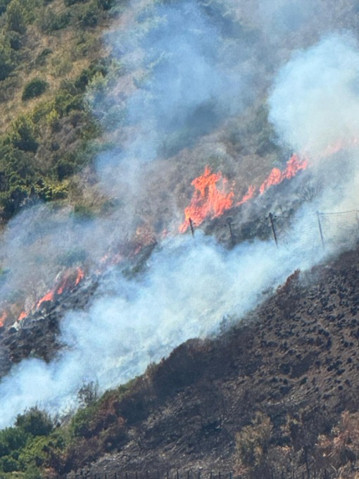 Monte Sant’Angelo, altro incendio nella zona dei campeggi. L’intervento dei vigili del fuoco