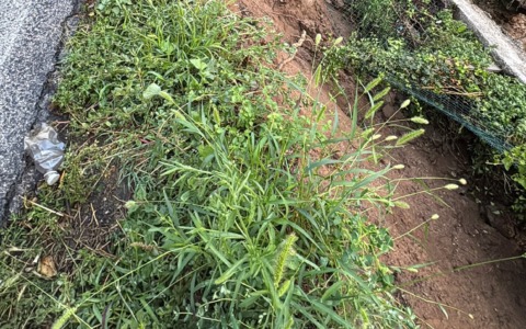 Maltempo, lavori per la messa in sicurezza della strada provinciale