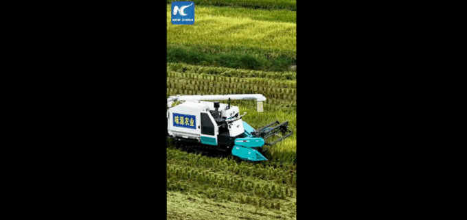Cina: scopriamo mietitrici senza conducente a Chongqing
