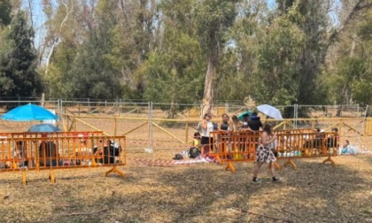 Fenomeno Alfa, sold out questa sera all'Arena del Mare BCC Roma. Giovani già in fila
