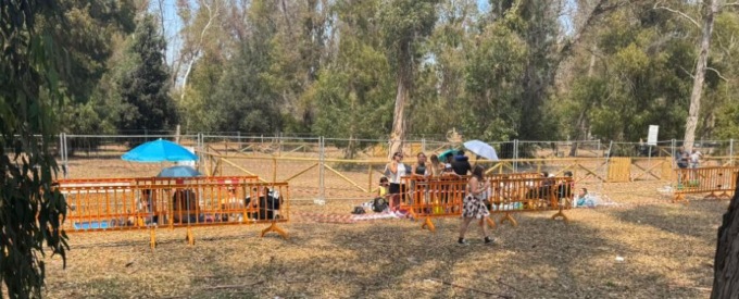 Fenomeno Alfa, sold out questa sera all’Arena del Mare BCC Roma. Giovani già in fila