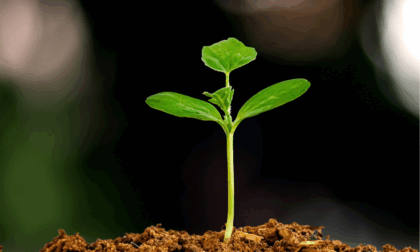 Cina: Chengdu, sedi di Giochi mondiali evidenziano visione verde, frugale