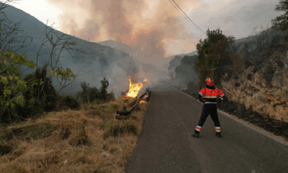 Incendi boschivi, nel Lazio 160 interventi in una settimana: boom di chiamate ai Vigili del Fuoco