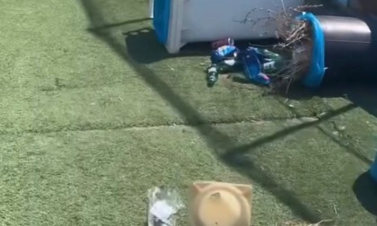 Atti di vandalismo allo stadio Mario Colavolpe